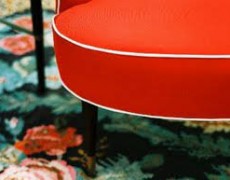 A Contrast in Upholstery
