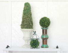 DIY Topiary Tutorial